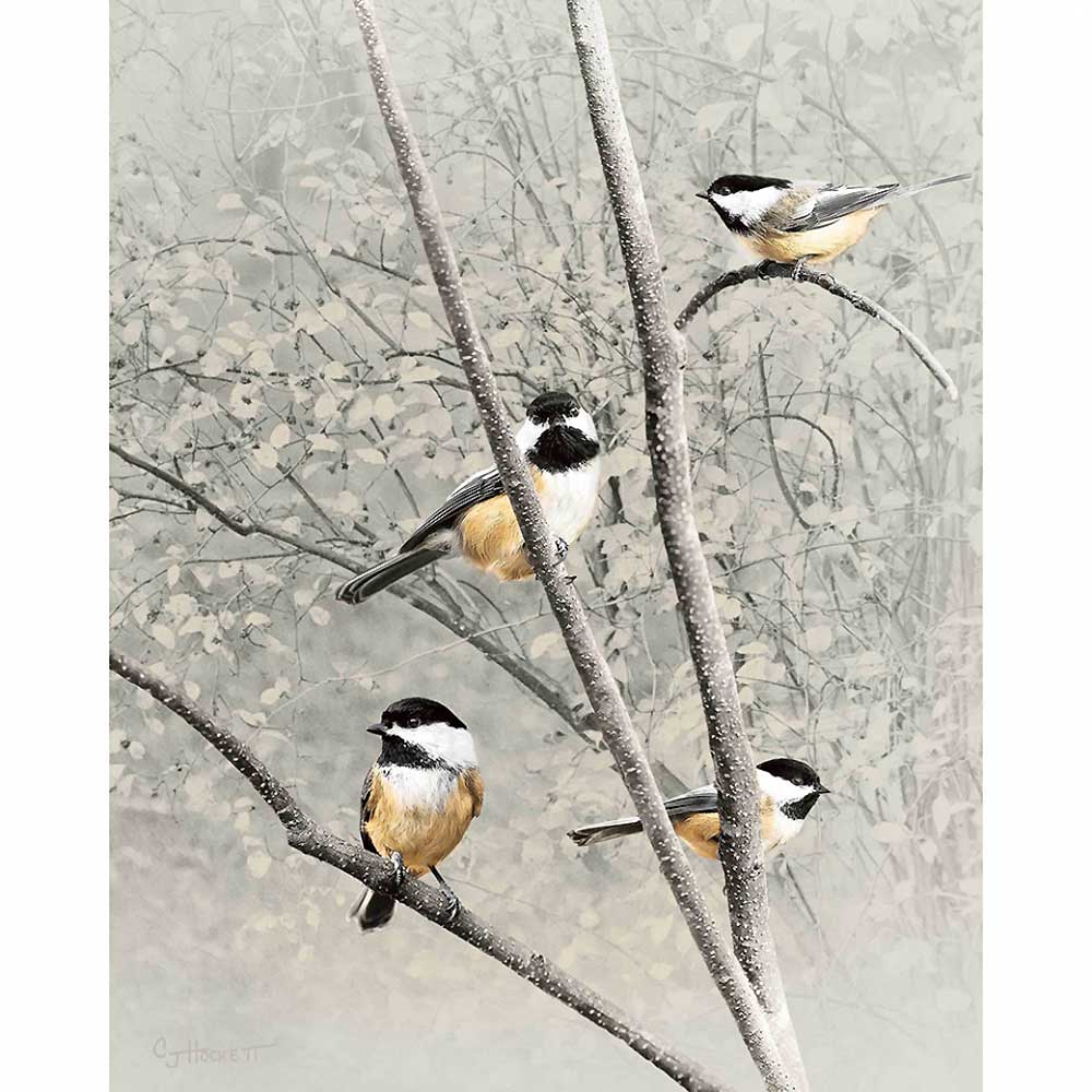 Four Chickadees by CJ Hockett