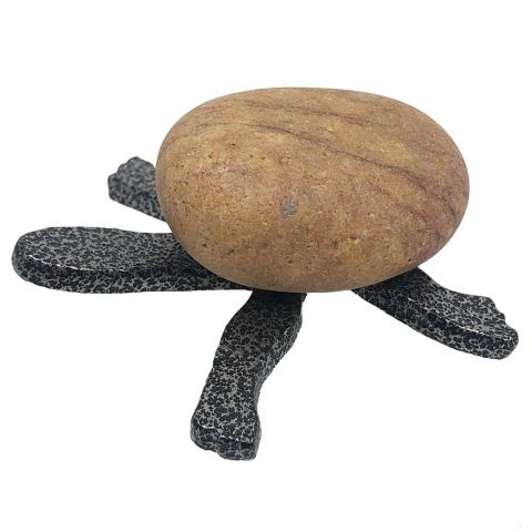 Rock Pets - Turtle